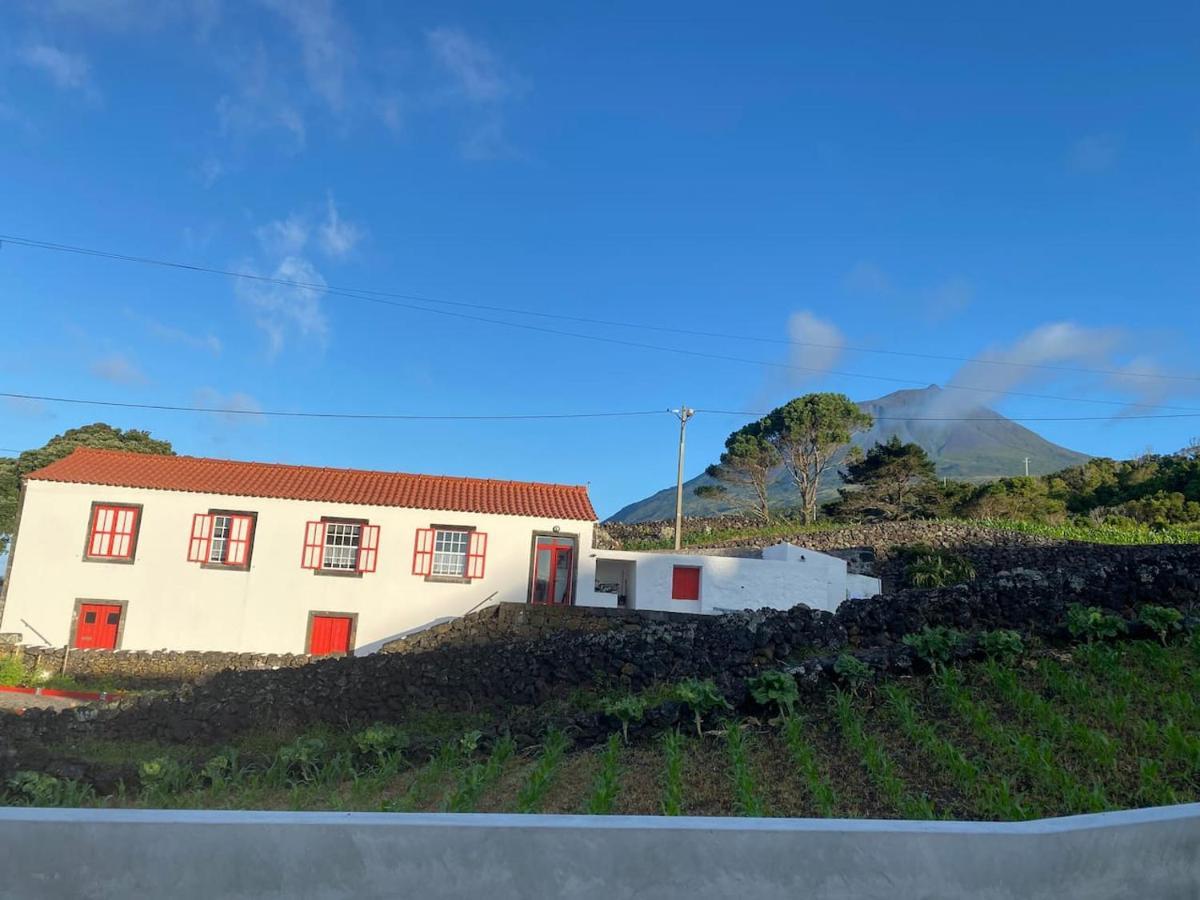 Villa Picocomigo à Sao Joao  Extérieur photo